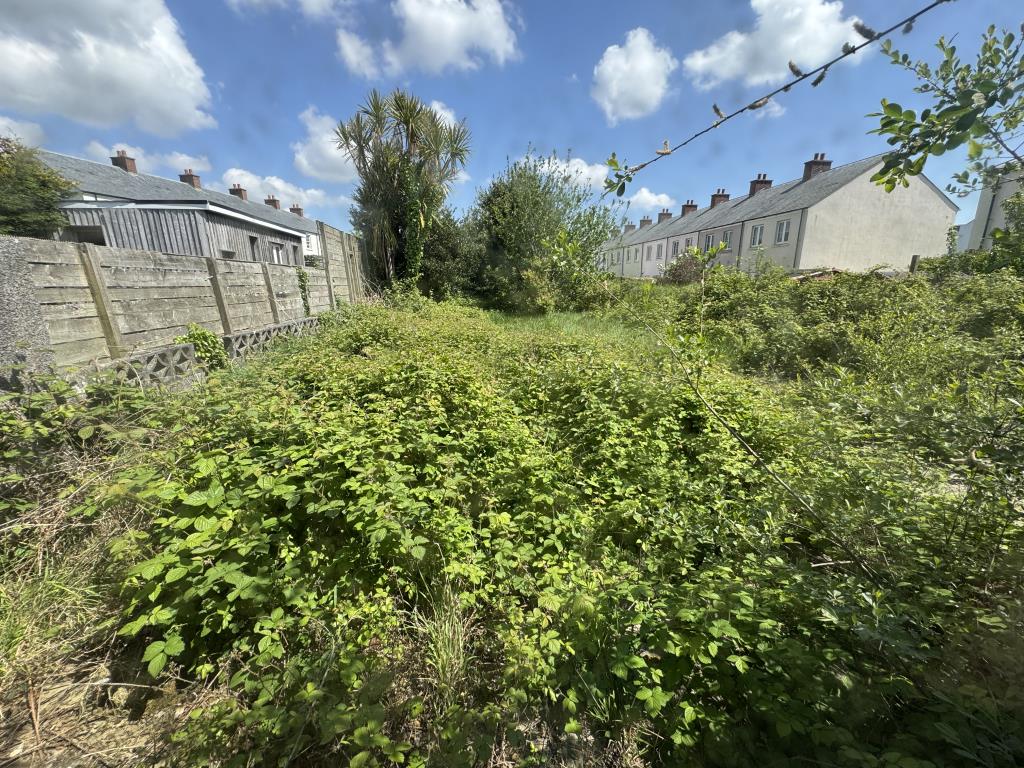 Lot: 127 - SEMI-DETACHED HOUSE FOR IMPROVEMENT - Rear garden